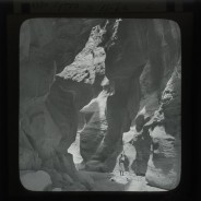 Böhl glass slide 61./1486